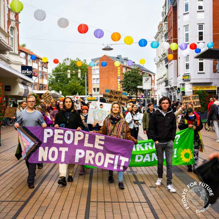Demozug zieht durch Elmshorn