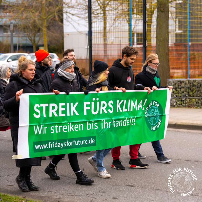Globaler Klimastreik in Elmshorn am 3. März 2023