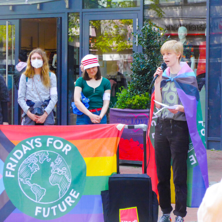 FFF Elmshorn Fridays For Future Klimagerechtigkeit