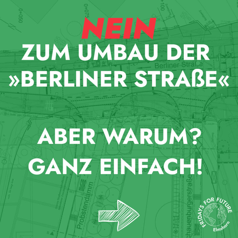 FFF Elmshorn Fridays For Future Elmshorn Klimagerechtigkeit