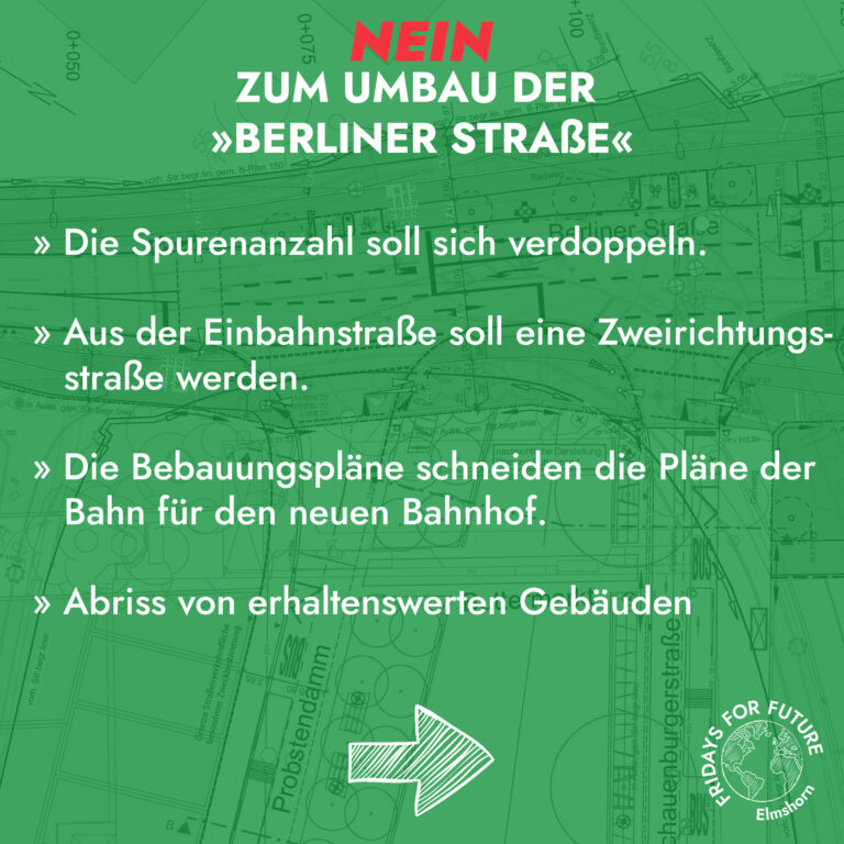 FFF Elmshorn Fridays For Future Elmshorn Klimagerechtigkeit