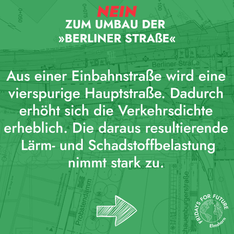 FFF Elmshorn Fridays For Future Elmshorn Klimagerechtigkeit