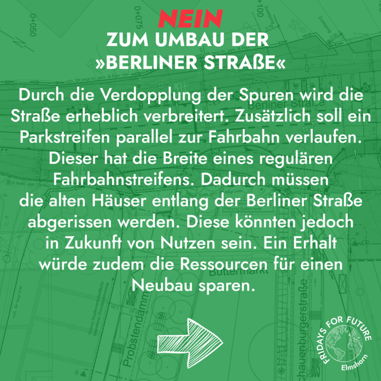 FFF Elmshorn Fridays For Future Elmshorn Klimagerechtigkeit