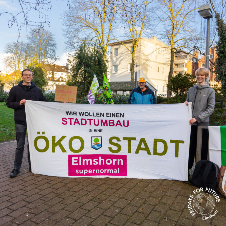 FFF Elmshorn Fridays For Future Elmshorn Klimagerechtigkeit