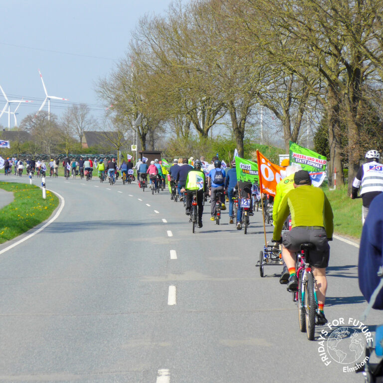 FFF Elmshorn Fridays For Future Elmshorn Klimagerechtigkeit