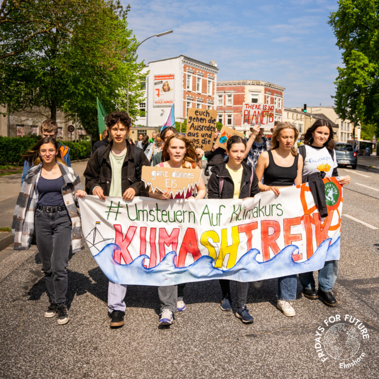 FFF Elmshorn Fridays For Future Elmshorn Klimagerechtigkeit