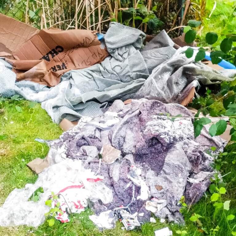 FFF Elmshorn Fridays For Future Elmshorn Klimagerechtigkeit