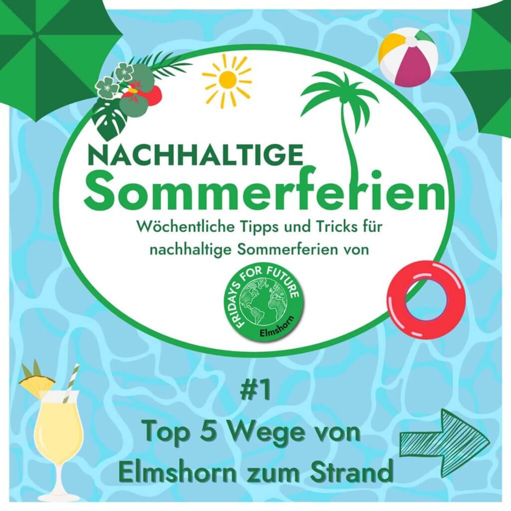 FFF Elmshorn Fridays For Future Elmshorn Klimagerechtigkeit