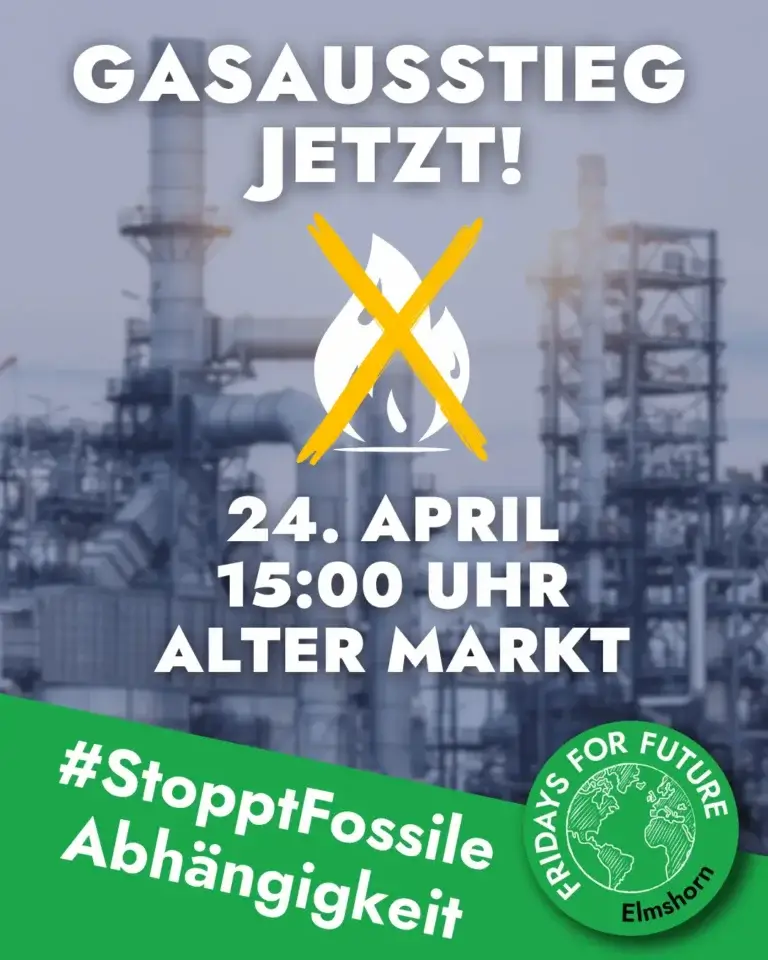 FFF Elmshorn Fridays For Future Elmshorn Klimagerechtigkeit