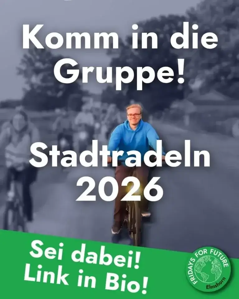 FFF Elmshorn Fridays For Future Elmshorn Klimagerechtigkeit