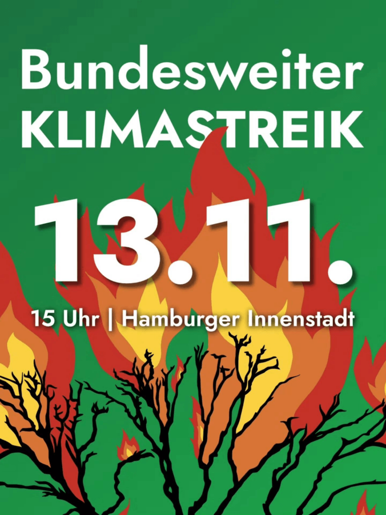 Klimastreik 13.11. 15 Uhr in Hamburg